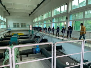 沙洋中小學生走進自來水廠 體驗生產流程 樹立節水意識